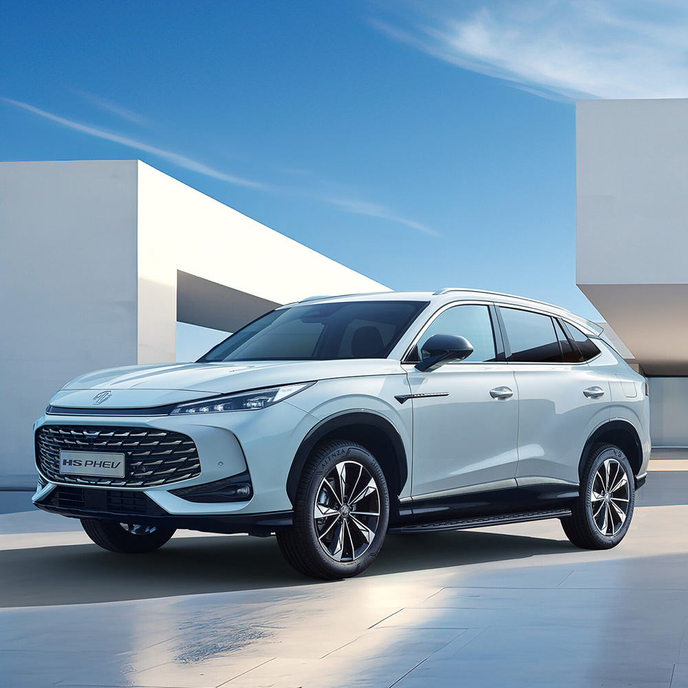Drexl+Ziegler_E-Mobilität_Hybrid_Förderung_0226
